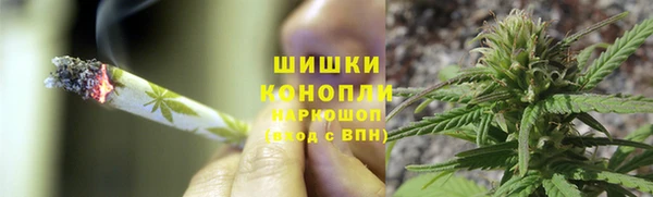 spice Бронницы